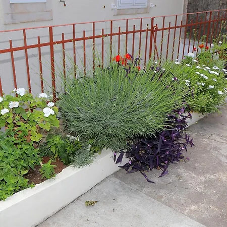 Vicina Summer * Ντουμπρόβνικ