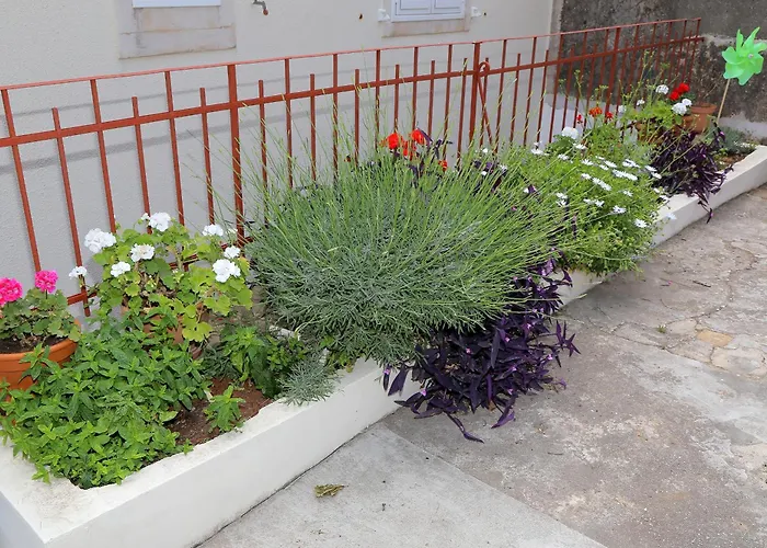 Vicina Summer * Dubrovník